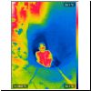 4536-jc-2017s-08-IR.png