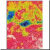 4600-jc-2017s-01-vis-IR.jpg