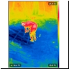 4805-jc-2019s-03-IR.png