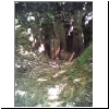 4805-jc-2019s-04-vis.png