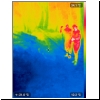 4805-jc-2019s-06-IR.png