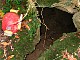 3283-ppa-2009s-004.jpg