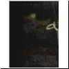 0880-jc-2019s-01-vis.png