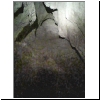 0880-jc-2019s-02-vis.png