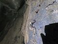 Highslide JS