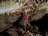 1338-pe-35.jpg