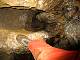 3041-pcl-2008s-j.jpg