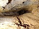 3380-dg-2010e-02.jpg