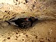 3380-dg-2010e-03.jpg
