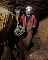3380-dg-2010e-17.jpg