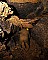 3380-dg-2010e-20.jpg