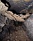 3380-dg-2010e-22.jpg