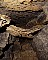 3380-dg-2010e-23.jpg