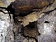 3380-dg-2010e-25.jpg