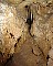 3380-dg-2010e-32.jpg
