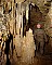 3380-dg-2010e-39.jpg